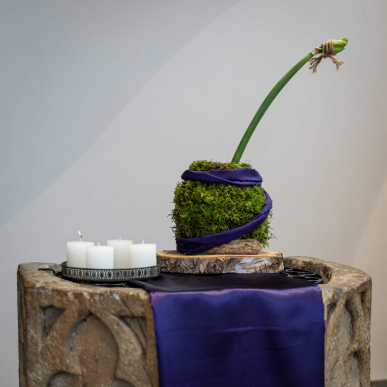 liturgisch-bloemschikken-eerste-advent-martinuskerk-website-pkn-markelo-fotostudio-FSMW_20251128-8641